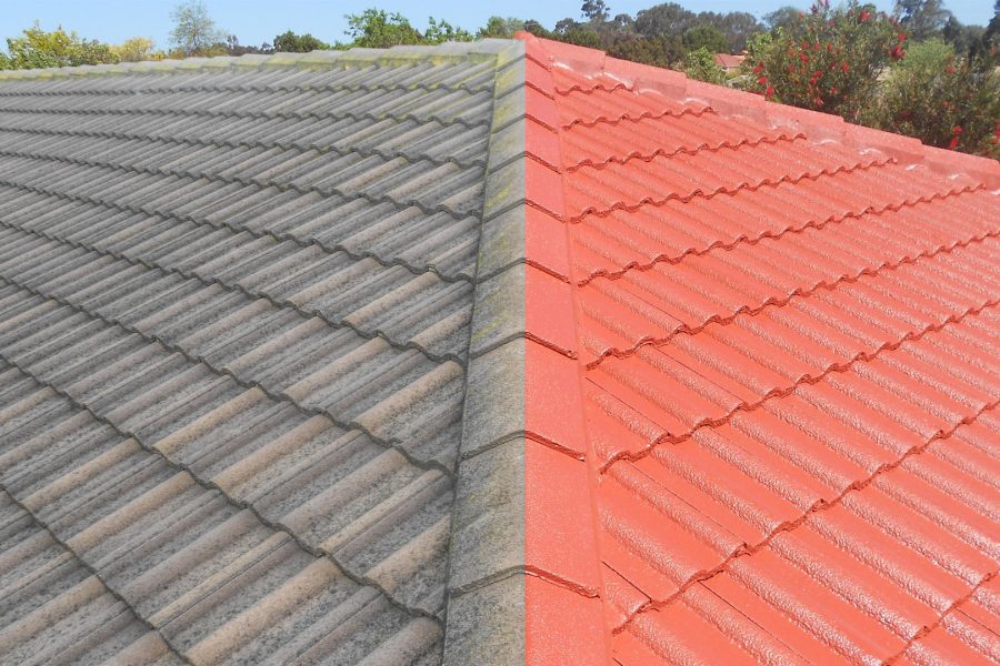 roof-painting